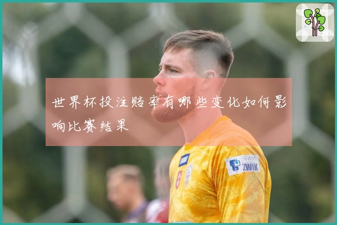 世界杯投注赔率有哪些变化如何影响比赛结果